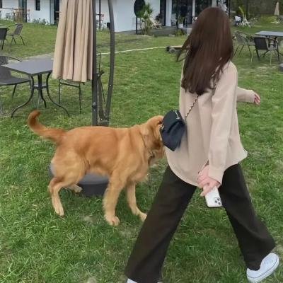 堡内怪胎